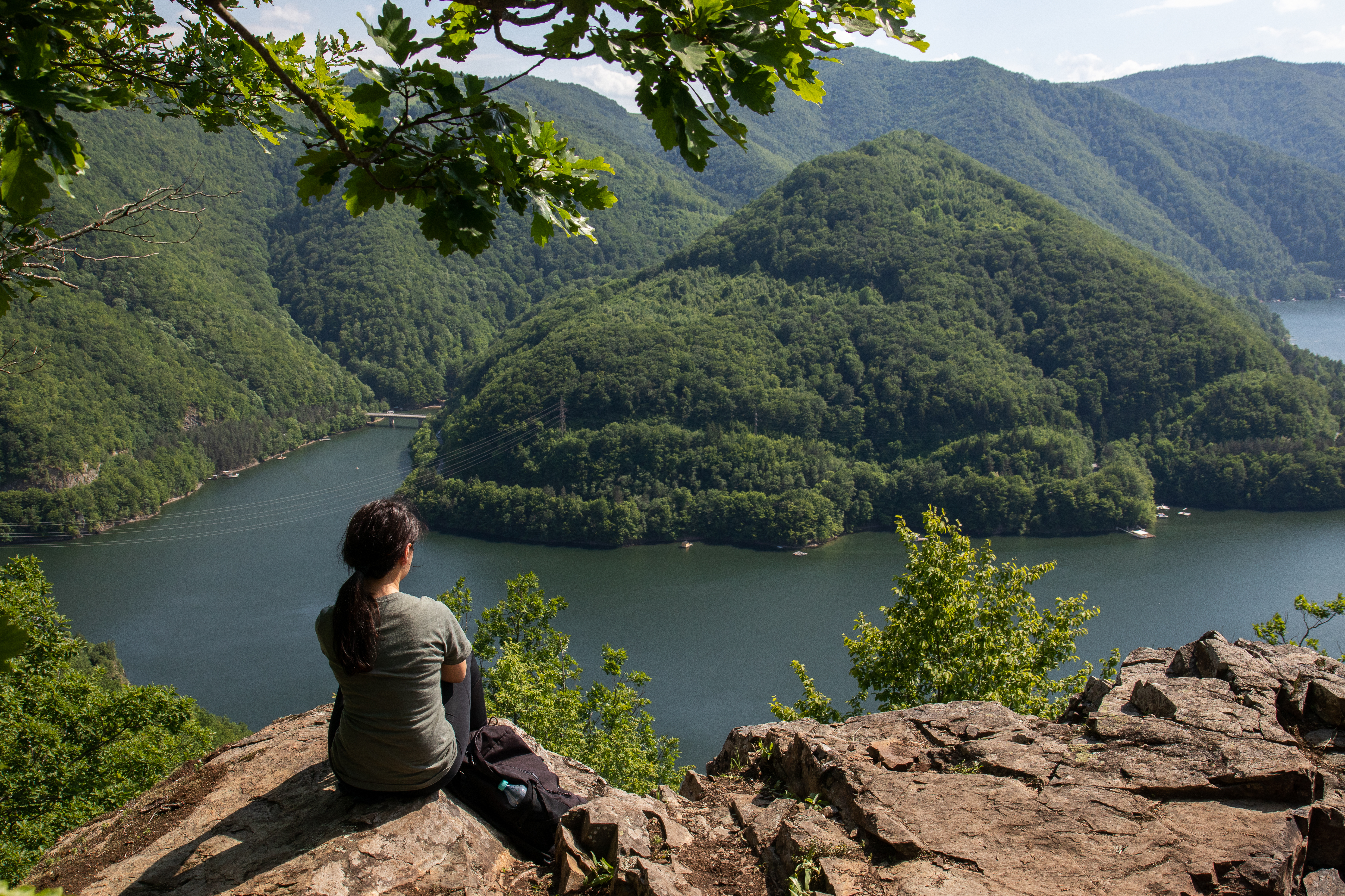 The Science of Silence: How Quiet Time Changes Your Brain