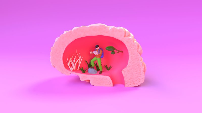 Concept illustration of the amygdala triggering a rapid threat response that overrides rational thought.