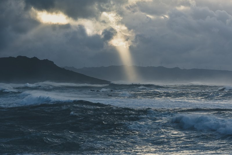 How Not to Lose Your Mind in a Crisis: What to Do With Anxiety, Fear, and the Sense That the World Is Ending